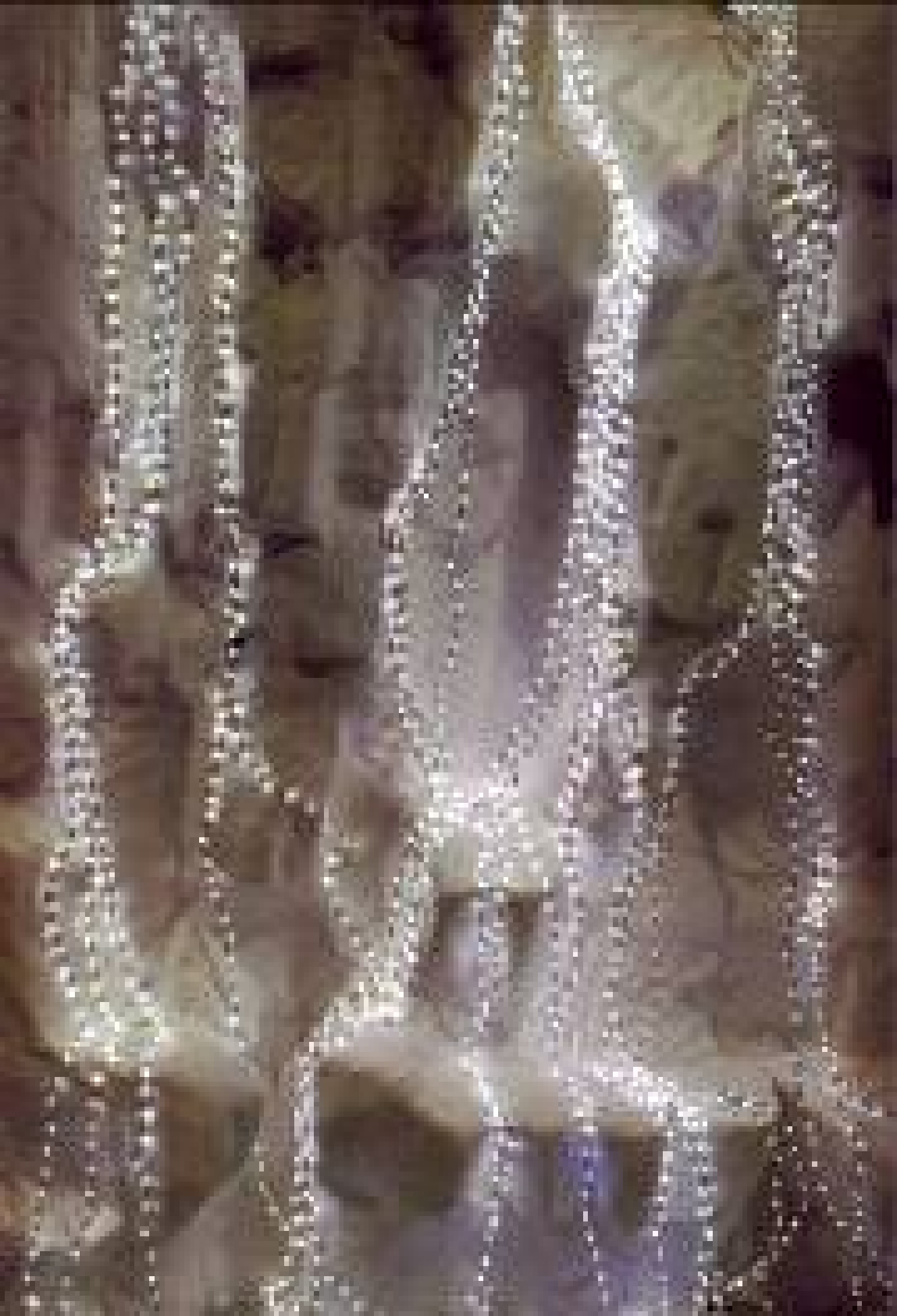 Светодиодная гирлянда водопад, 4м, 5 лучей, белый, TM Scorpio