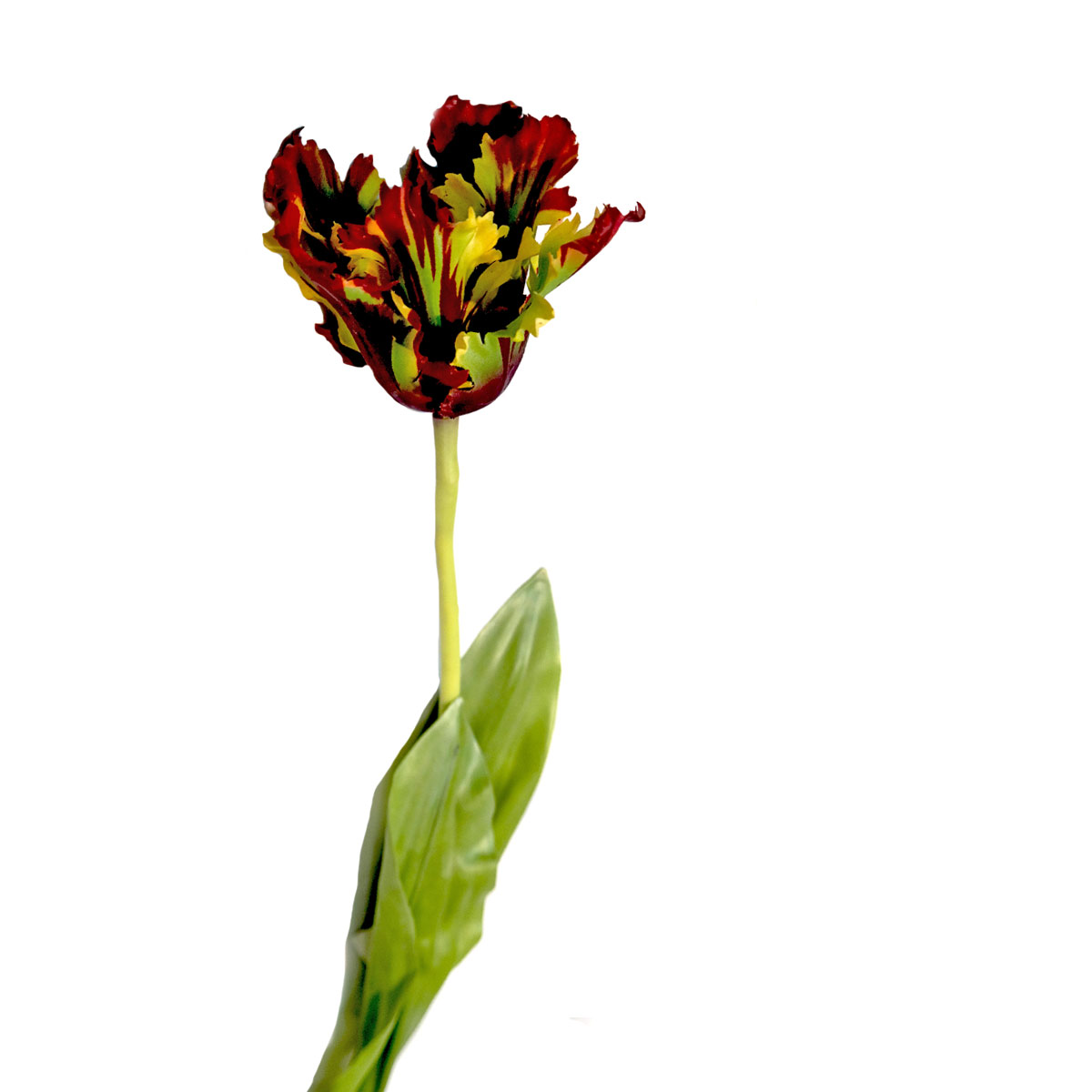 искусственный тюльпан