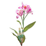 Орхидея искусственная, розово-зеленая