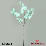 Ветка с листьями