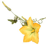 Искусственный цветок тыквы, желто-зеленый