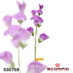 Искусственный цветок Чина душистая, темно-фиолетовая