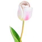 Искусственный цветок «Тюльпан», бело-розовый