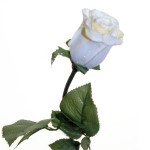 Бутон розы, искусственный, 60 см, белый