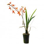 Искусственный цветок Орхидея «Королева джунглей», вазон, 70см