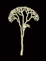 Светодиодный мотив «Дерево», белый