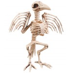 Скелет -  Ворона 32 см