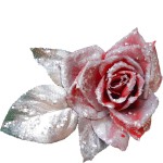 Украшение «Роза заснеженная» на прищепке красная